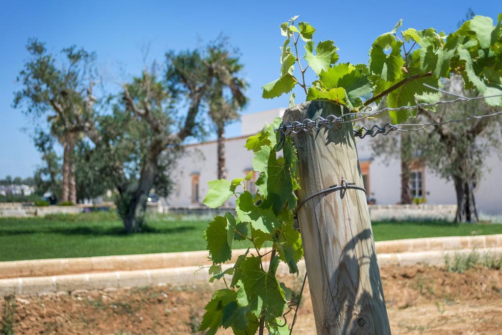 Tenuta Mose Charming House&Relais Gallipoli Buitenkant foto